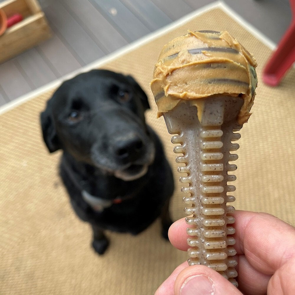 Honey Bone Dental Tower - Ultra Durable Chew Toy for Aggressive Chewers
